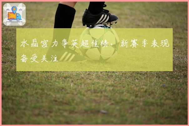 水晶宫力争英超佳绩，新赛季表现备受关注