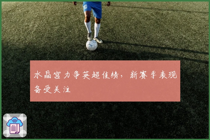 水晶宫力争英超佳绩，新赛季表现备受关注